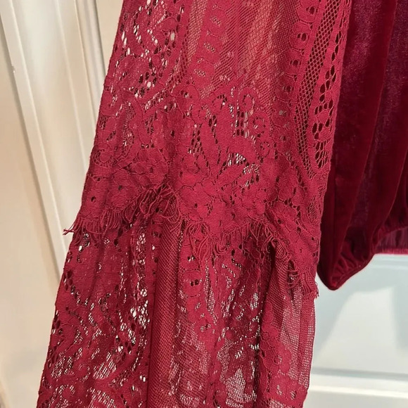 NWT Free People Raspberry Dream Team top, velvet with mesh sleeves & embroidery - Picture 5 of 10